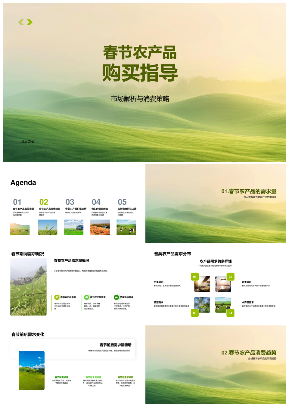 2025春节农产品消费趋势与购买策略解析PPT模板