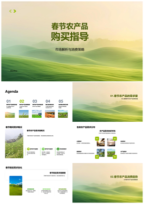 2025春节农产品消费趋势与购买策略解析PPT模板