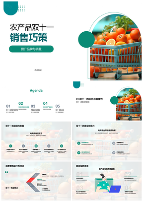 双十一农产品电商促销定价配送品牌策略PPT模板