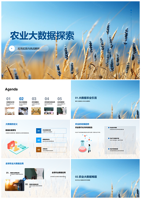 农业大数据采集分析与小麦田隐私安全建模PPT模板