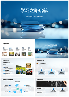 学习启航个性化策略效率指南针PPT模板