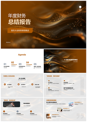 股东大会财务分析师年度总结评估现金流投资组合资产质量盈利风险PPT模板