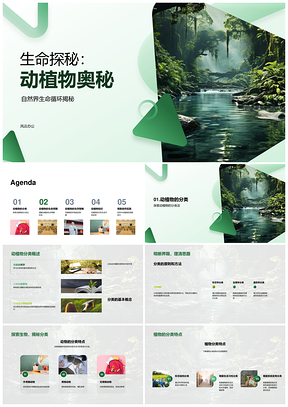 生命探秘动植物分类生命周期与生存策略PPT模板