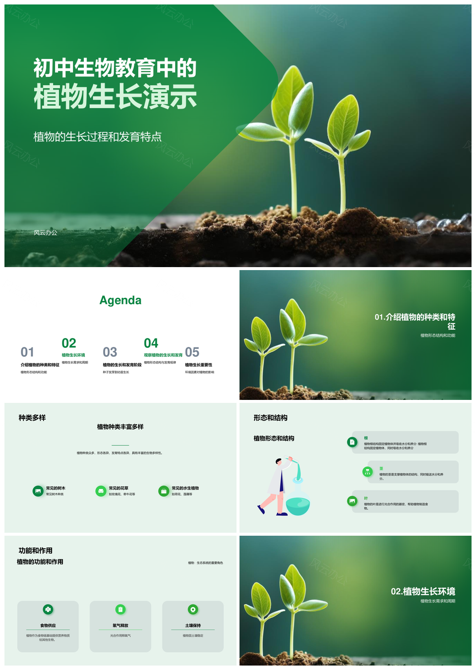 初中植物生长过程分类形态结构特征PPT模板