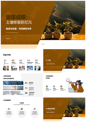 土壤污染治理修复挑战机遇助环境健康行业发展PPT模板