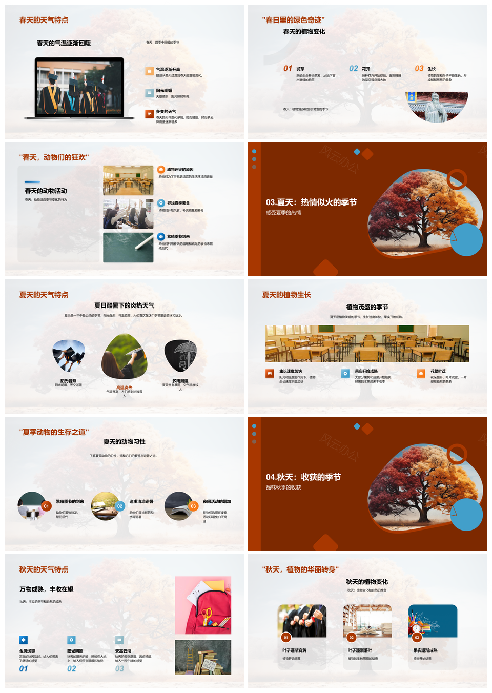 四季树映自然科学生活季节规律PPT模板