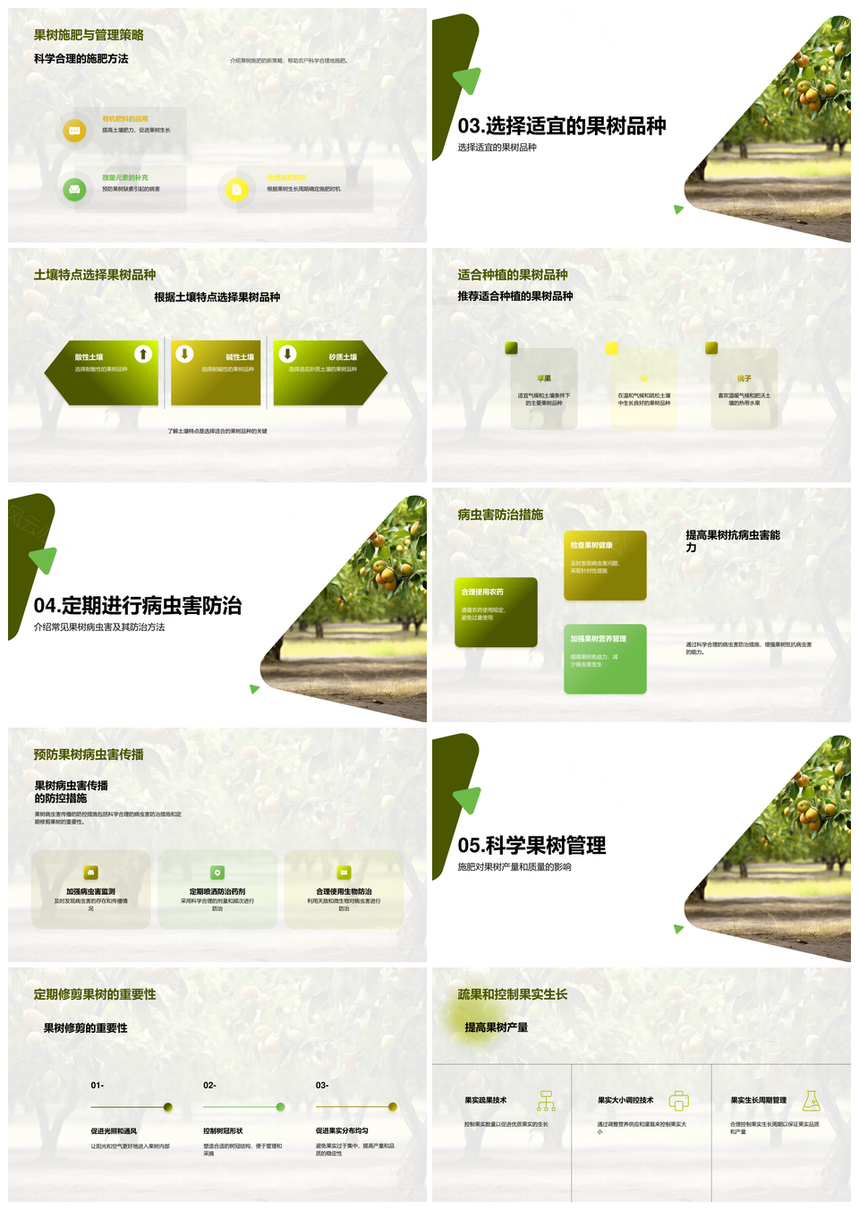 果树种植研究专家演讲农户气候需求PPT模板