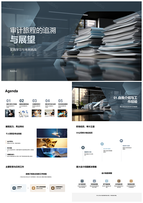 审计师实践挑战与团队协作发展PPT模板