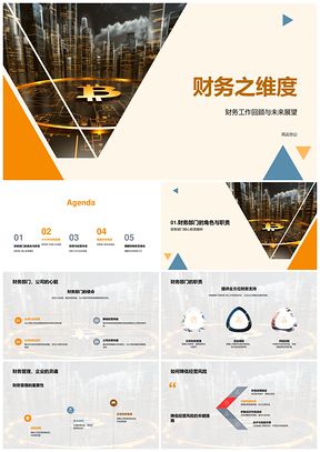 2025财务部门回顾展望经营风险管理挑战PPT模板