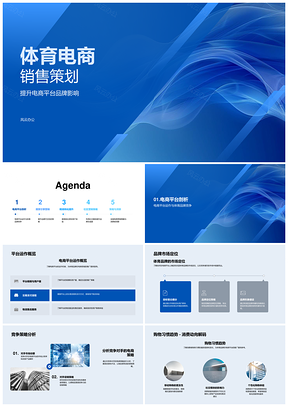 2025体育电商销售策略平台品牌竞对消费搜索广告优化PPT模板