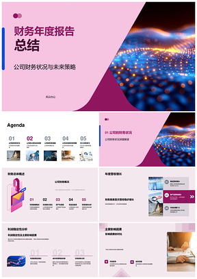 财务年报公司营收利润稳增创新拓展服务策略PPT模板