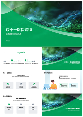 双十一医疗保健品购物节需求与影响力PPT模板