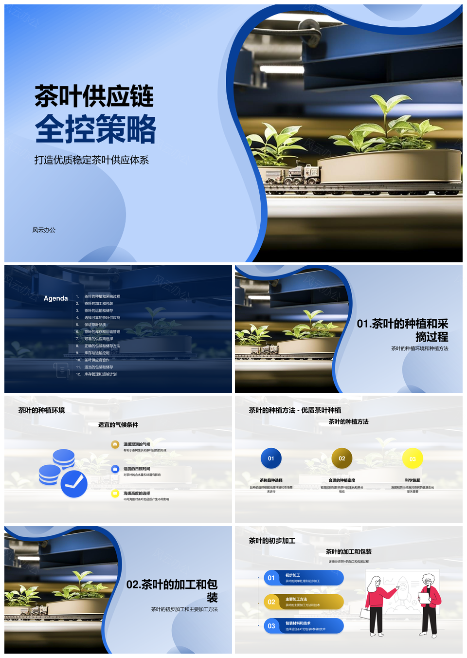 茶叶供应链全流程管理种植采摘加工关键环节PPT模板