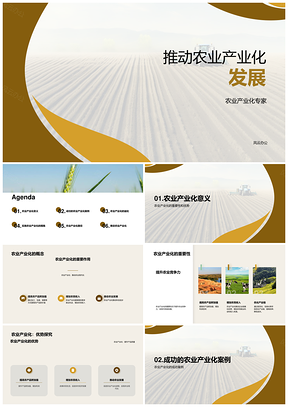 农业产业化专家企业推动农林牧渔机械发展PPT模板