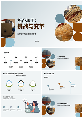 稻谷加工业务发展历程年中成就竞争总结PPT模板