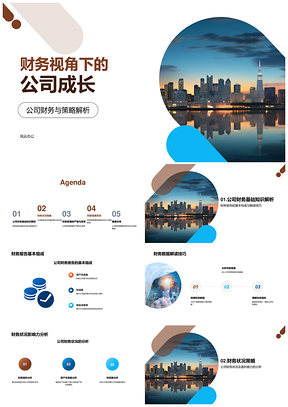 公司财务策略驱动盈利成长分析PPT模板