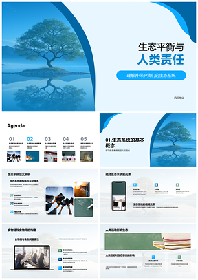 生态平衡人类责任与能量流动维系PPT模板