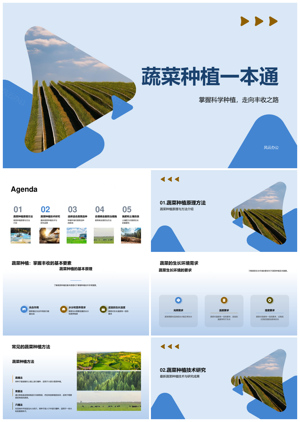 蔬菜科学种植技巧大揭秘专家指导PPT模板