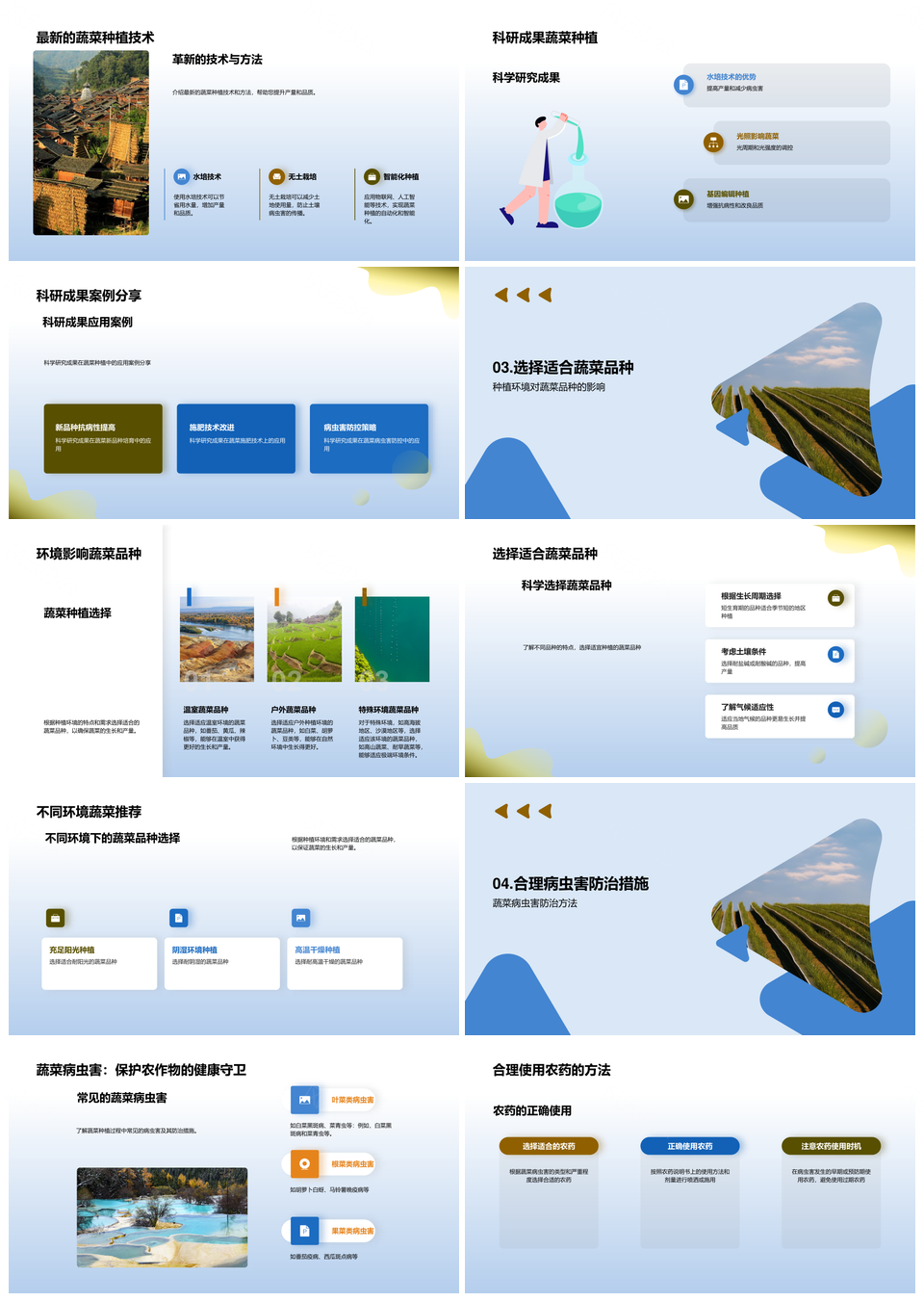 蔬菜科学种植技巧大揭秘专家指导PPT模板
