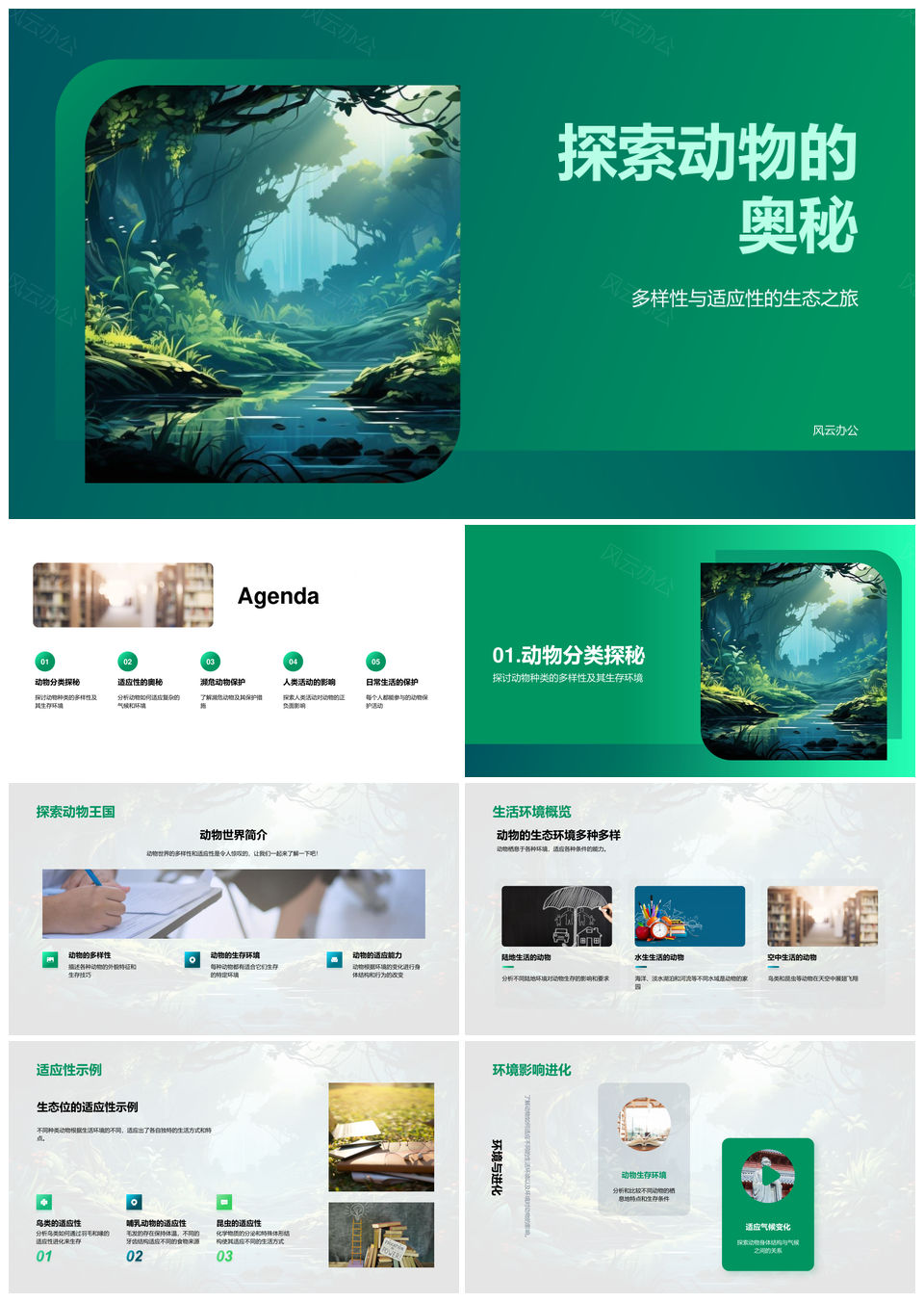 生态旅行探秘丛林动物多样适应PPT模板