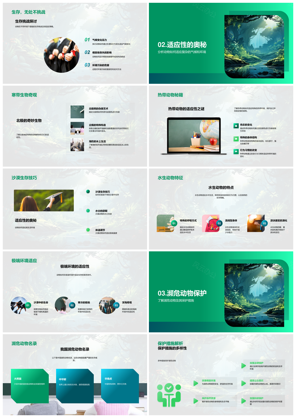 生态旅行探秘丛林动物多样适应PPT模板