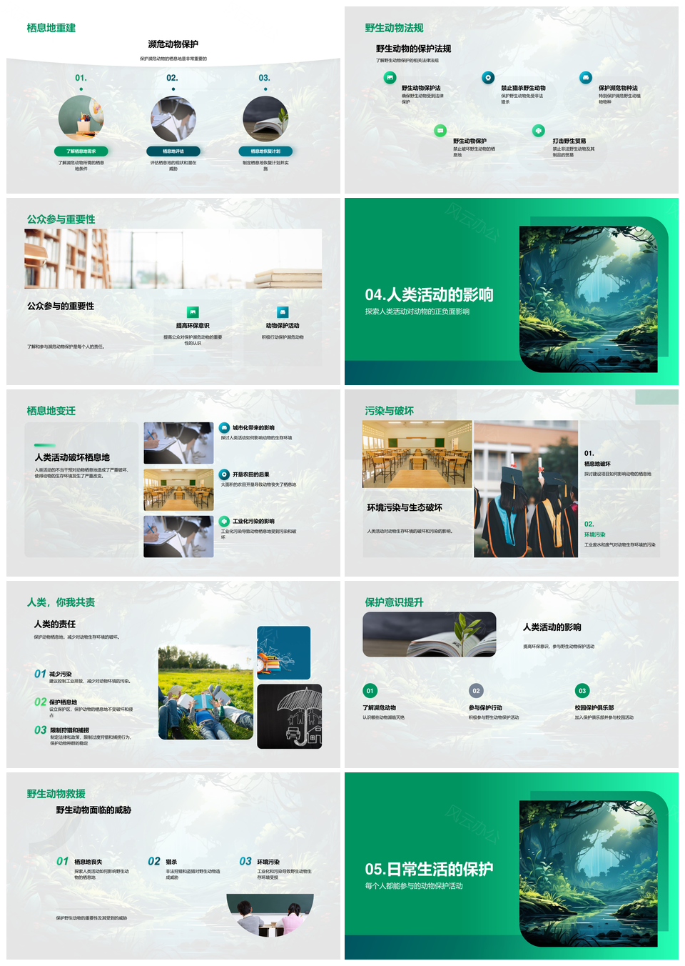 生态旅行探秘丛林动物多样适应PPT模板