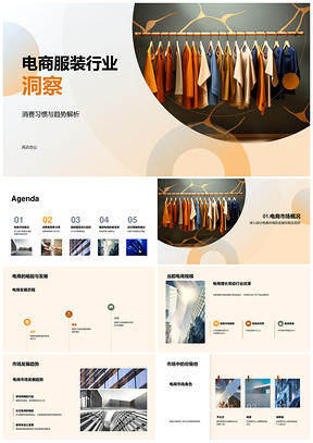 2025电商服装消费趋势与市场品质细分分析PPT模板