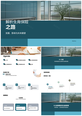 生育保险政策发展与社会人口平衡解析PPT模板