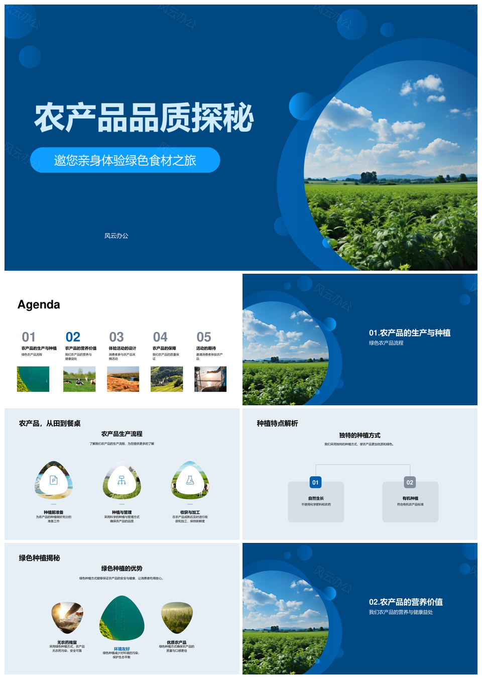 绿色食材之旅揭秘农产品营养与健康种植PPT模板