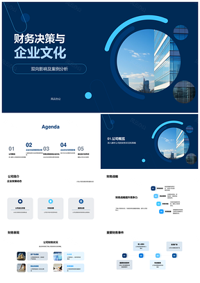 财务决策企业文化双向影响案例分析PPT模板