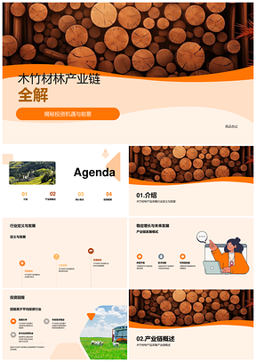 木竹材林产业链发展投资与未来增长PPT模板