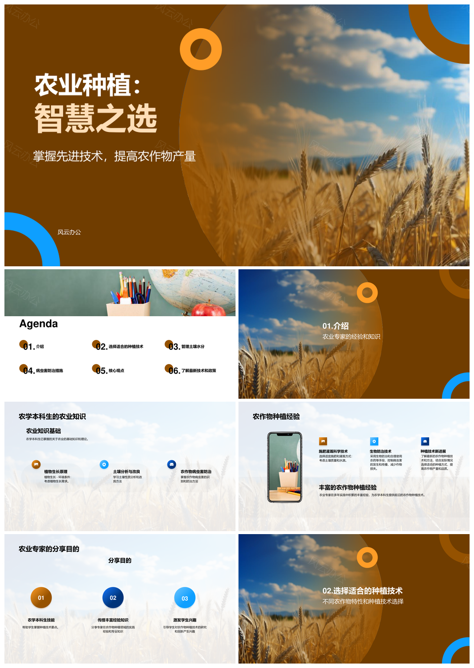 农学本科生与专家小麦田智慧种植经验PPT模板