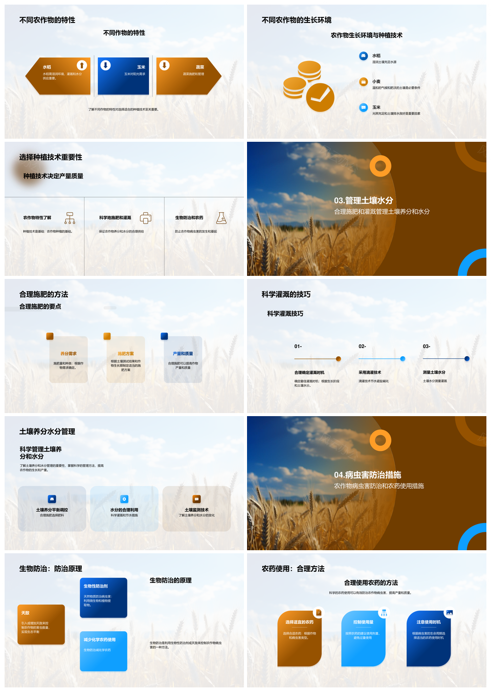 农学本科生与专家小麦田智慧种植经验PPT模板