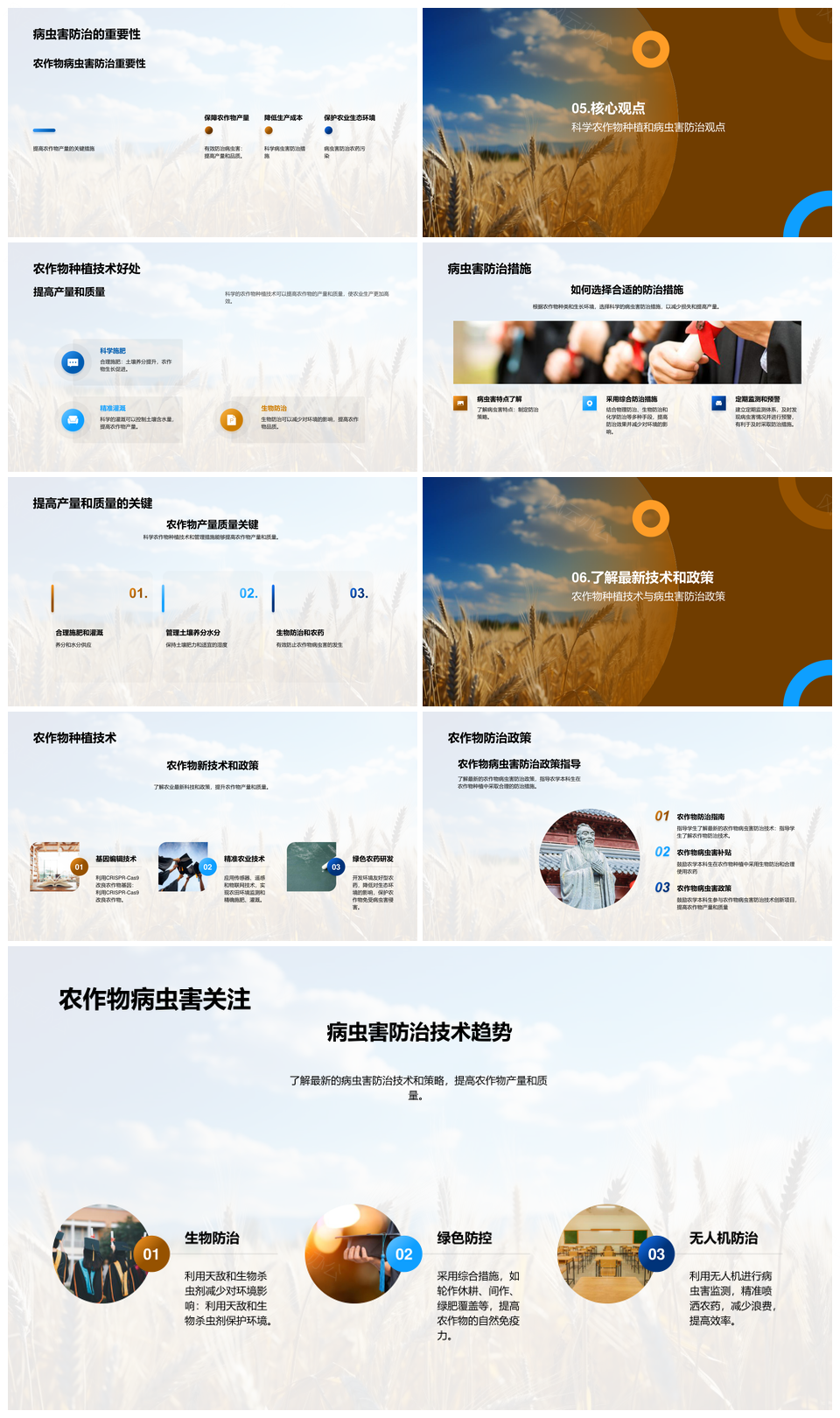 农学本科生与专家小麦田智慧种植经验PPT模板