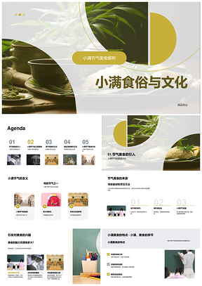 小满节气粽香绿豆汤传统食俗PPT模板