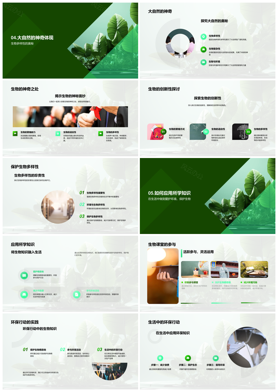 环保生物多样课堂探秘环境互动PPT模板