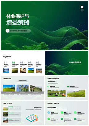 林业保护增益与全球森林可持续管理策略PPT模板