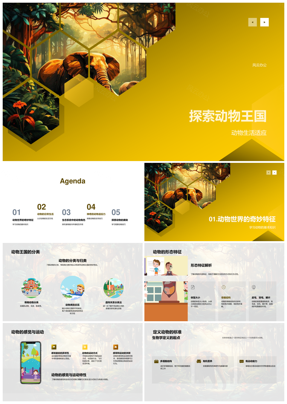动物王国生物科学探索适应形态感觉食物链PPT模板
