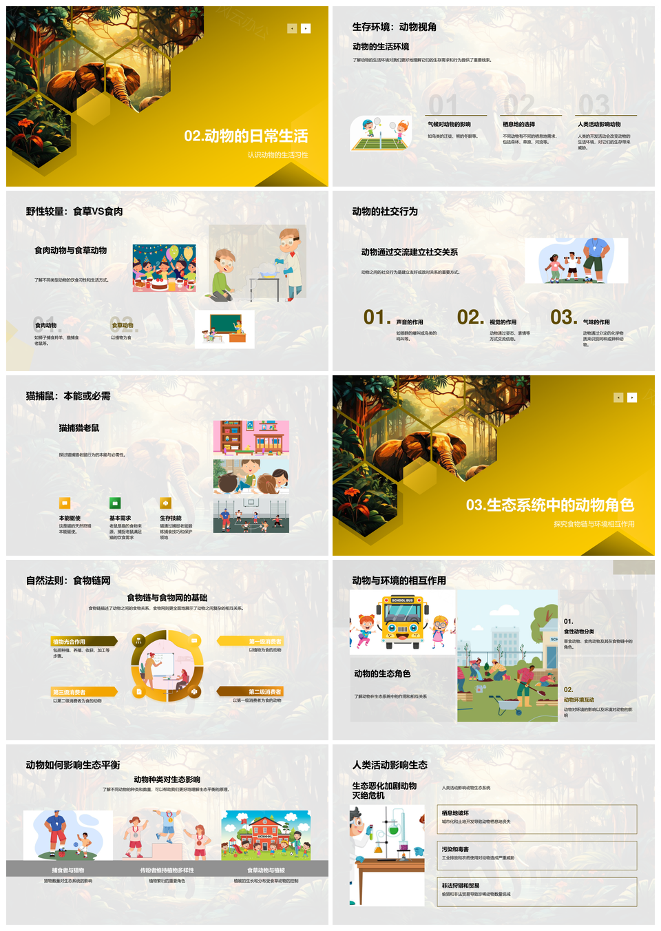 动物王国生物科学探索适应形态感觉食物链PPT模板