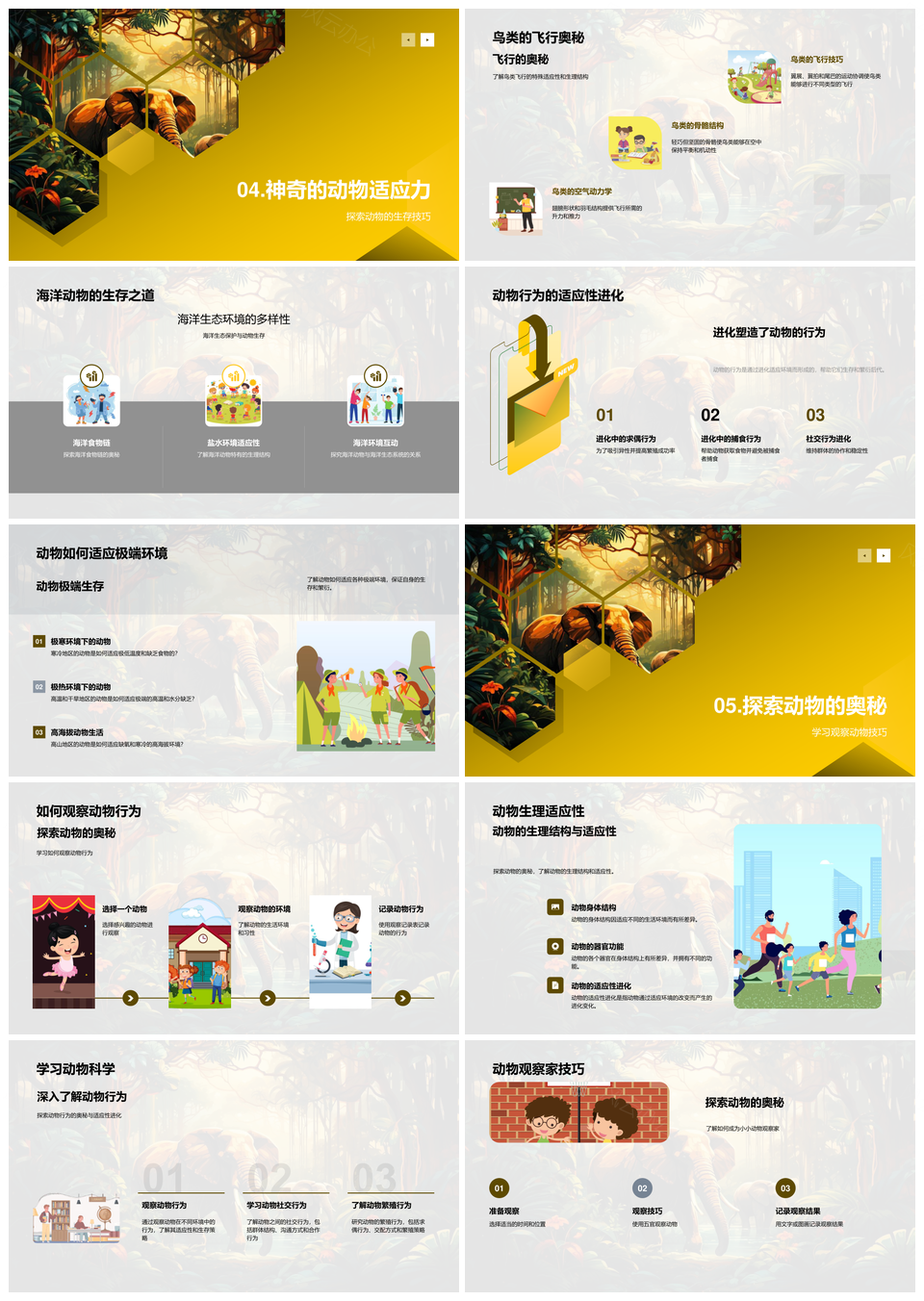 动物王国生物科学探索适应形态感觉食物链PPT模板