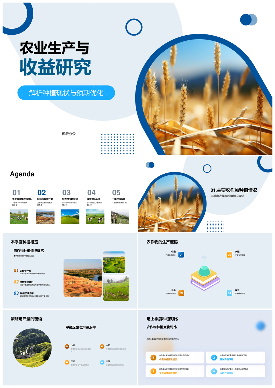 农业生产收益与种植策略研究PPT模板