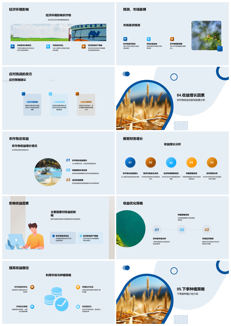 农业生产收益与种植策略研究PPT模板