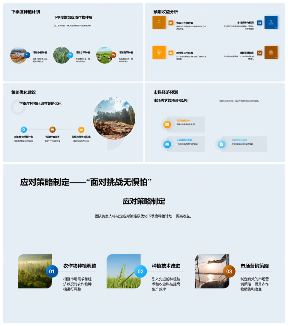农业生产收益与种植策略研究PPT模板