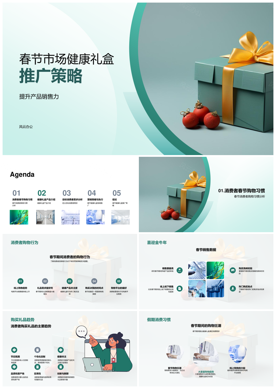 春节市场健康礼盒销售策略与消费趋势PPT模板