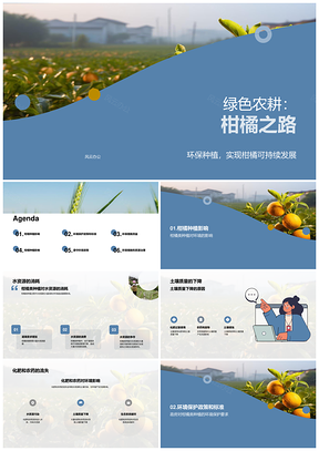 环保柑橘种植护水土减化肥农药负面影响PPT模板