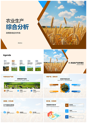 农业生产政策市场动态与绿色结构调整分析PPT模板