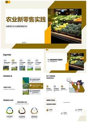 农业新零售双十二线上线下销售策略与优惠活动PPT模板