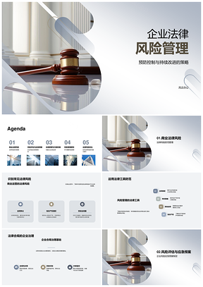 企业法律风险管理流程机制合规应急原则PPT模板