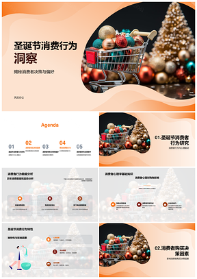 圣诞节消费行为决策偏好与市场心理预测PPT模板
