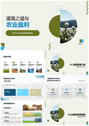 农业灌溉管理效益与投资分析PPT模板